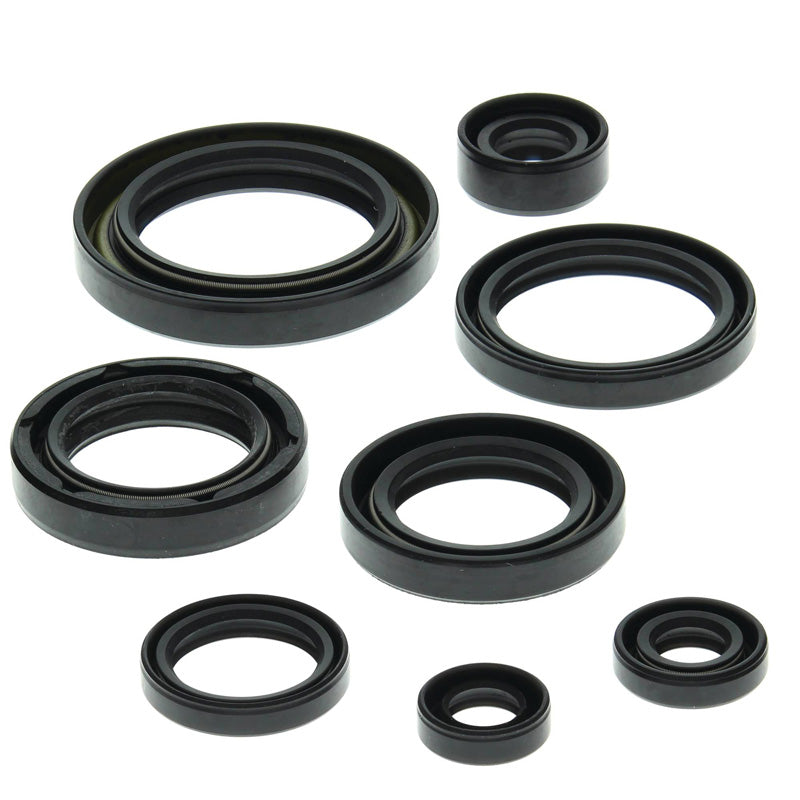 OIL SEAL KIT