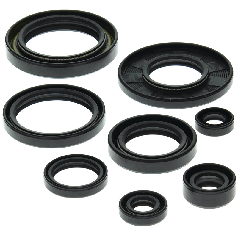 OIL SEAL KIT