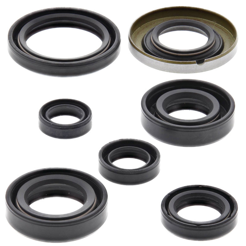 OIL SEAL KIT