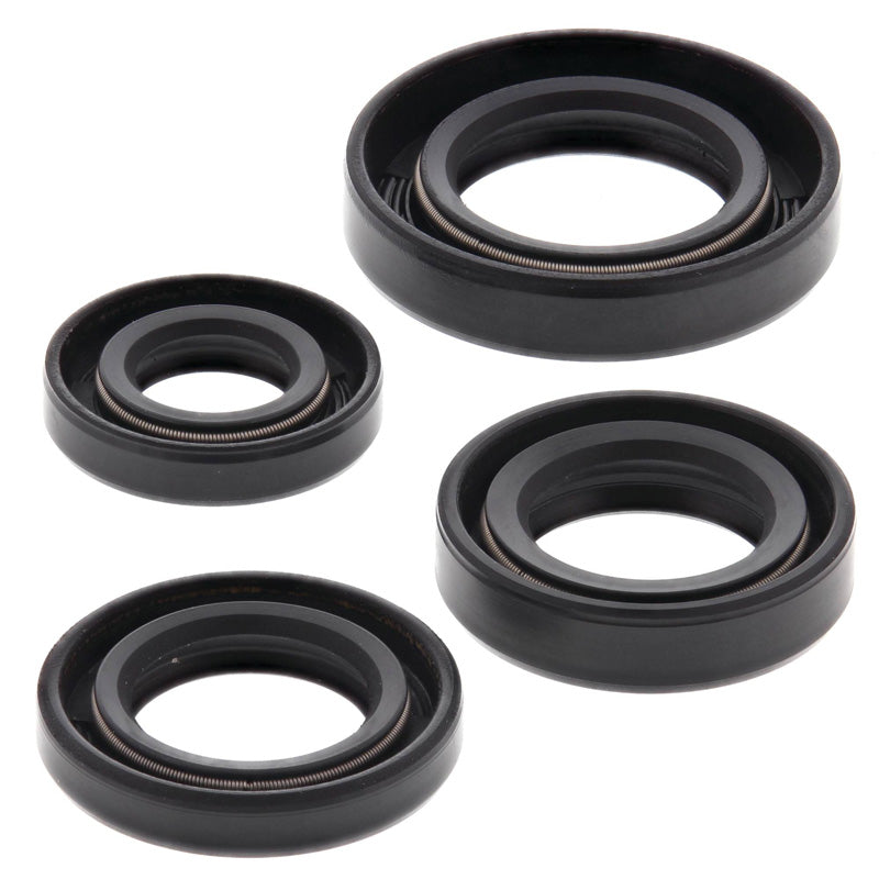 OIL SEAL KIT