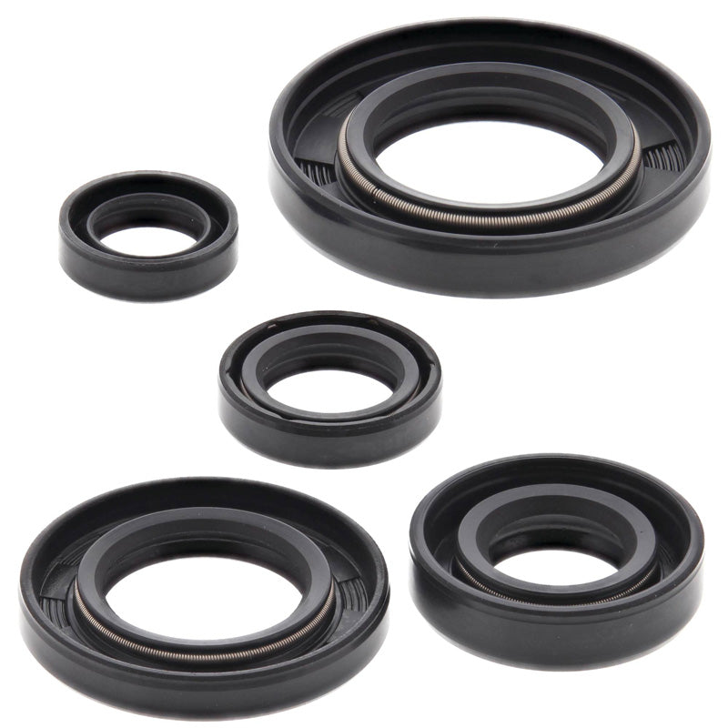 OIL SEAL KIT