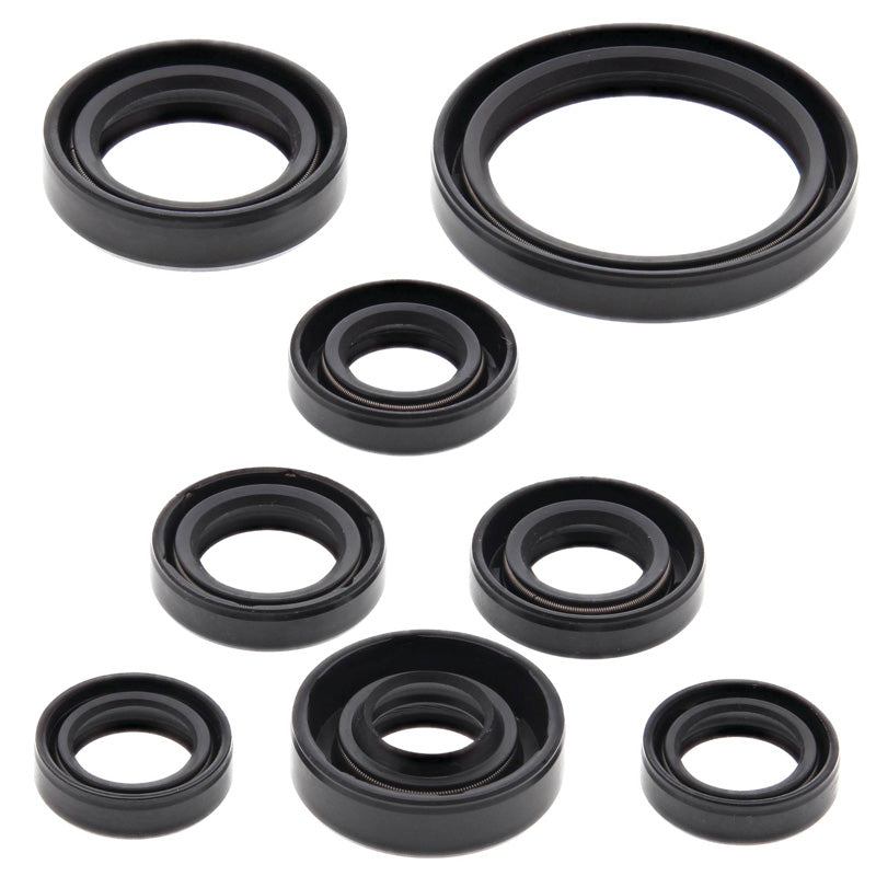 OIL SEAL KIT