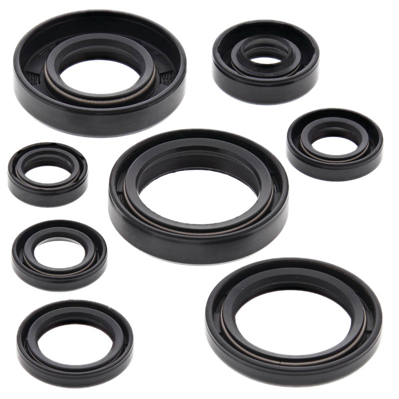 OIL SEAL KIT