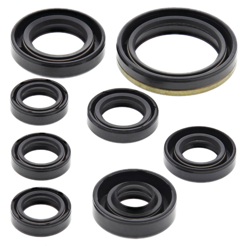 OIL SEAL KIT