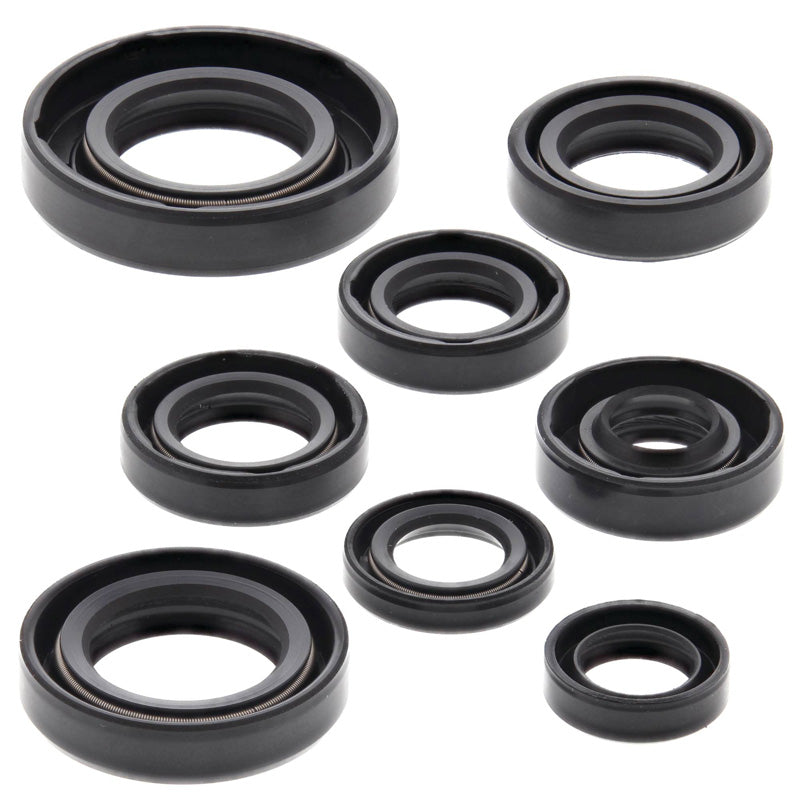OIL SEAL KIT