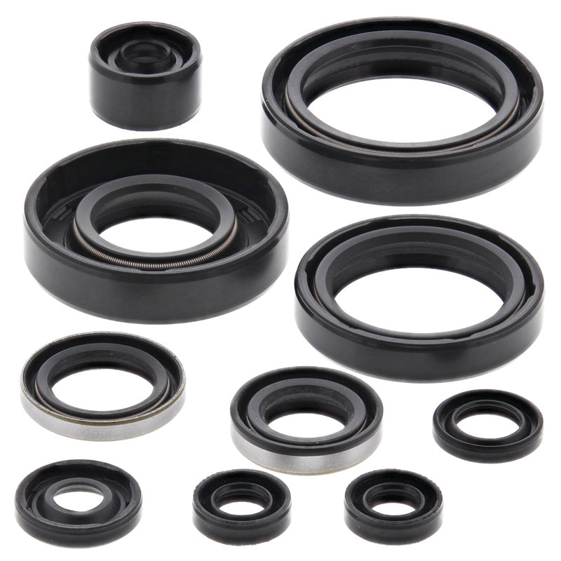 OIL SEAL KIT