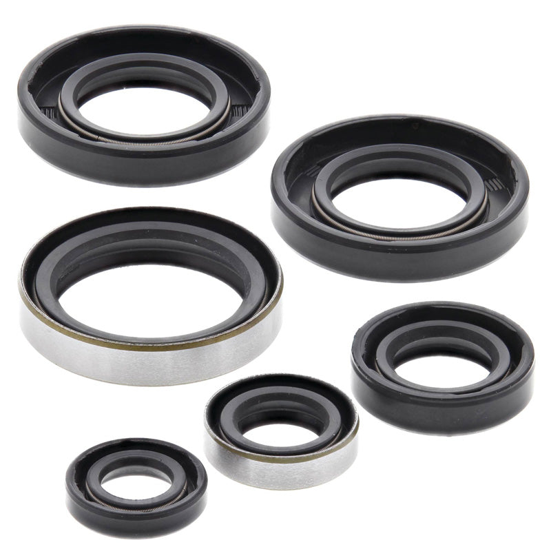OIL SEAL KIT