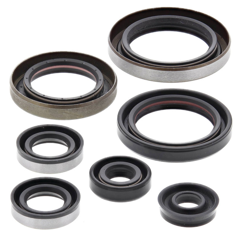 OIL SEAL KIT