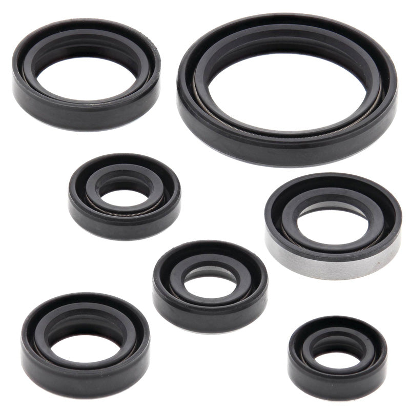OIL SEAL KIT