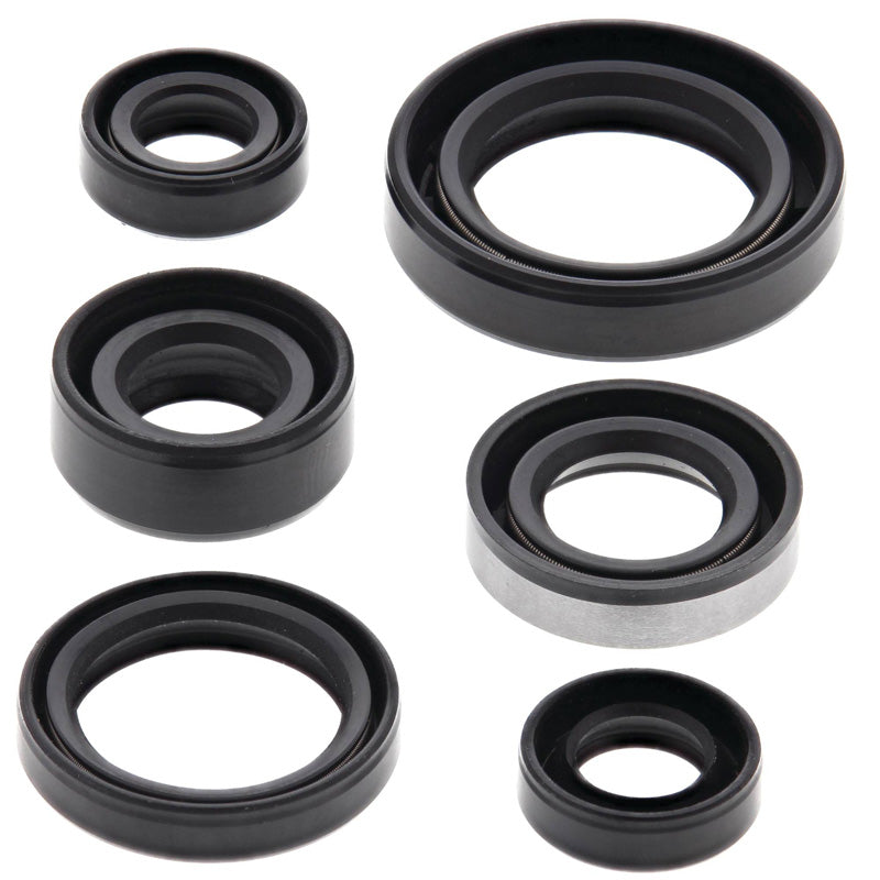 OIL SEAL KIT