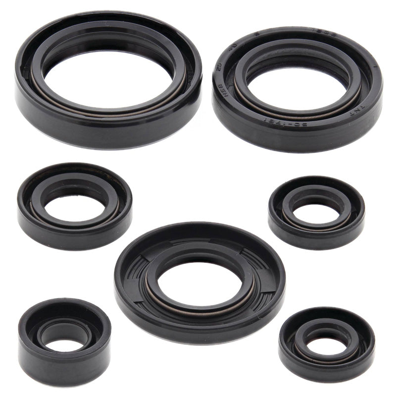 OIL SEAL KIT