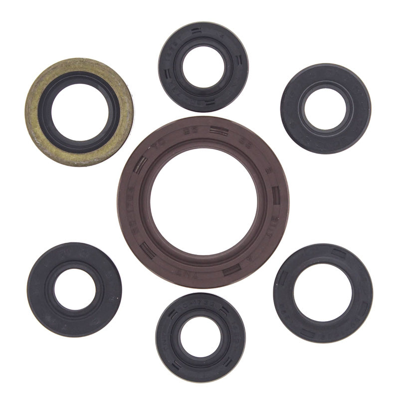 OIL SEAL KIT