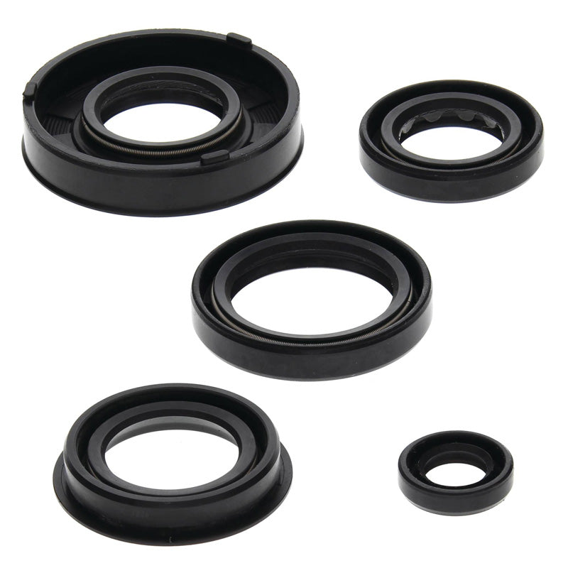 OIL SEAL KIT