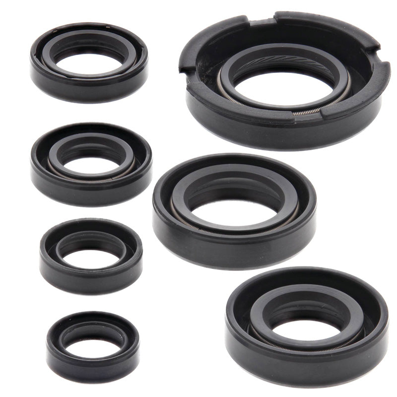 OIL SEAL KIT