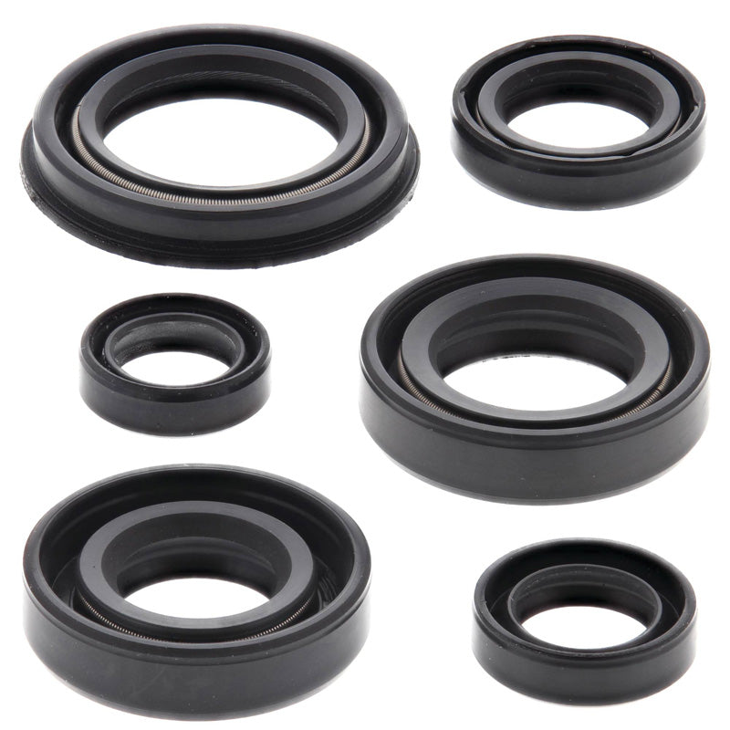 OIL SEAL KIT