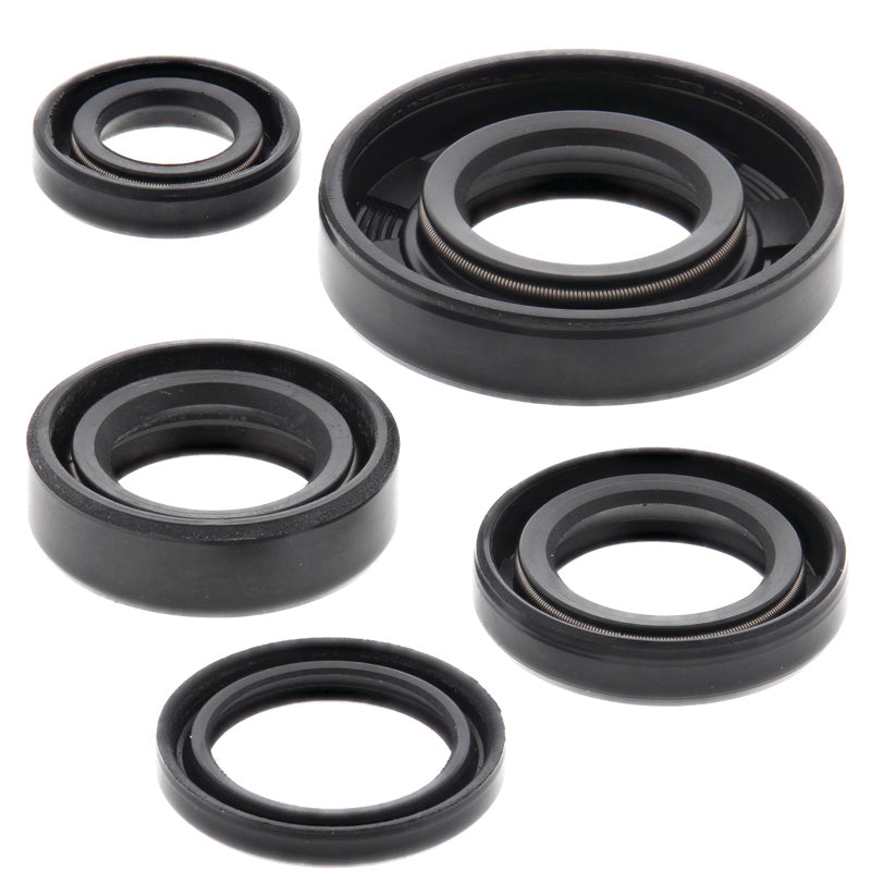 OIL SEAL KIT