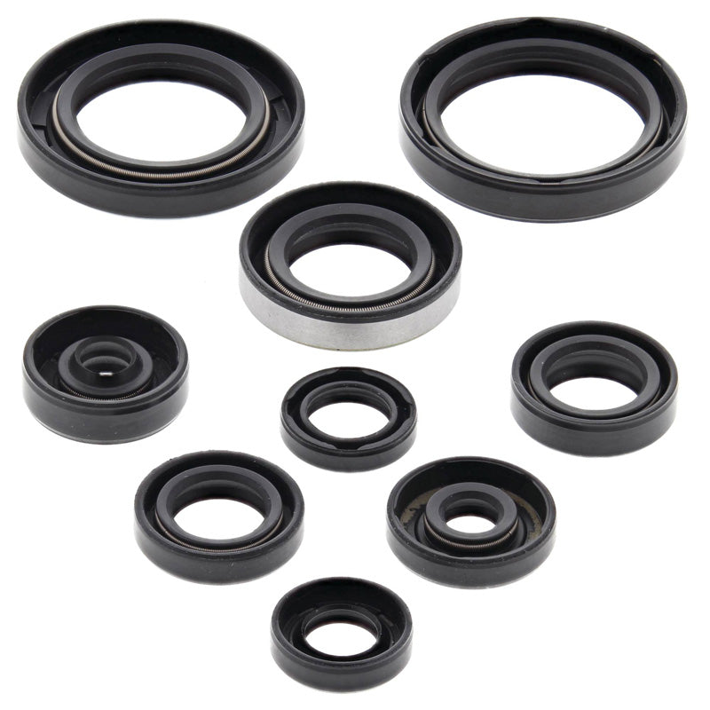 OIL SEAL KIT