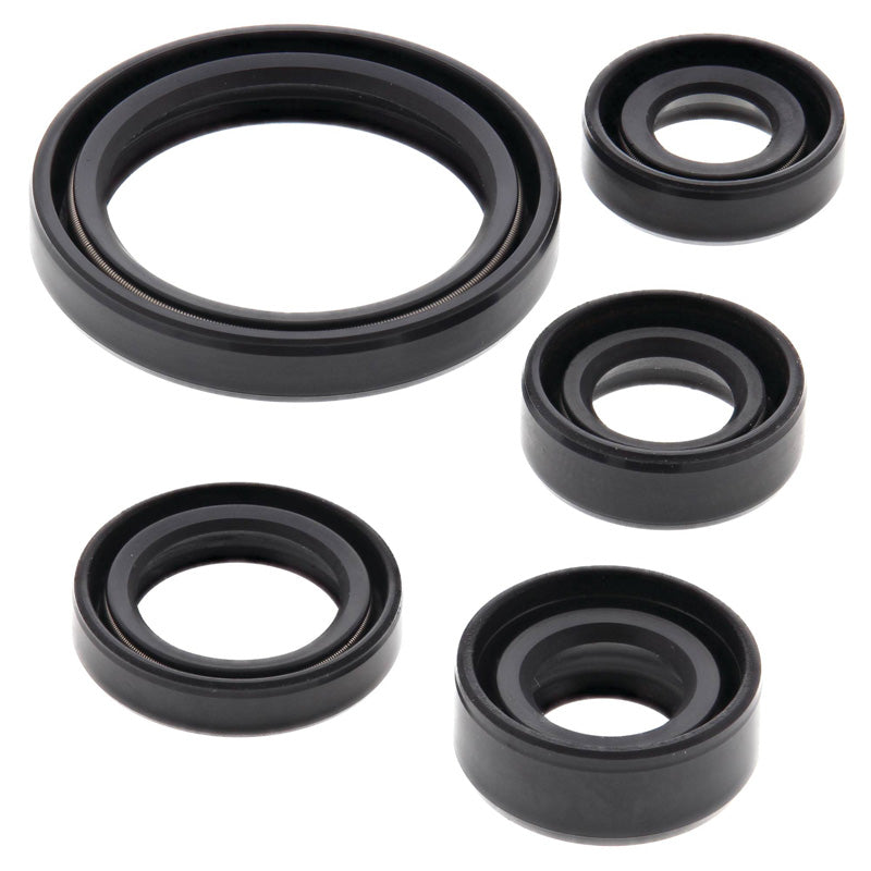OIL SEAL KIT