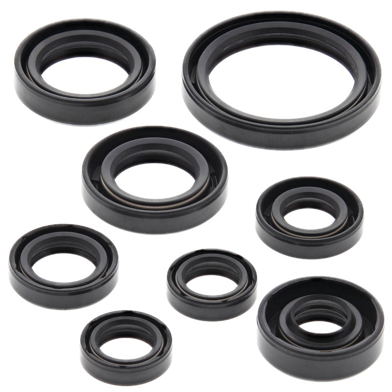 OIL SEAL KIT