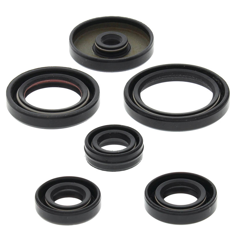 OIL SEAL KIT