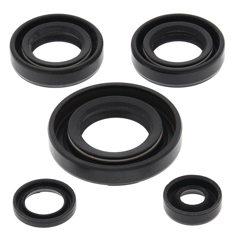 OIL SEAL KIT
