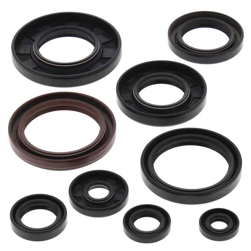 OIL SEAL KIT