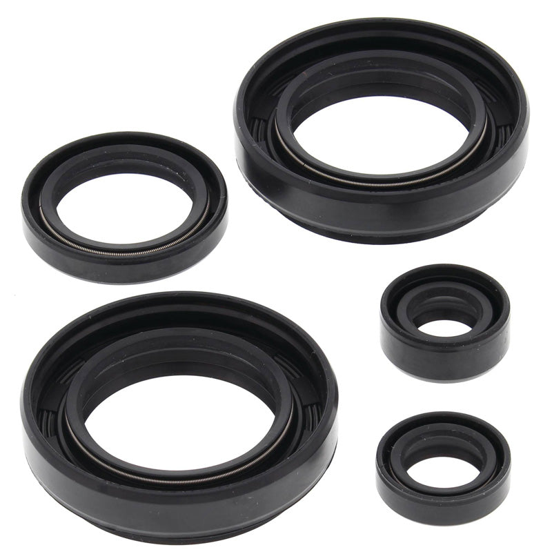 OIL SEAL KIT