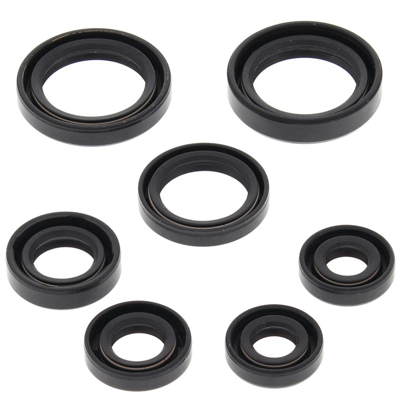 OIL SEAL KIT