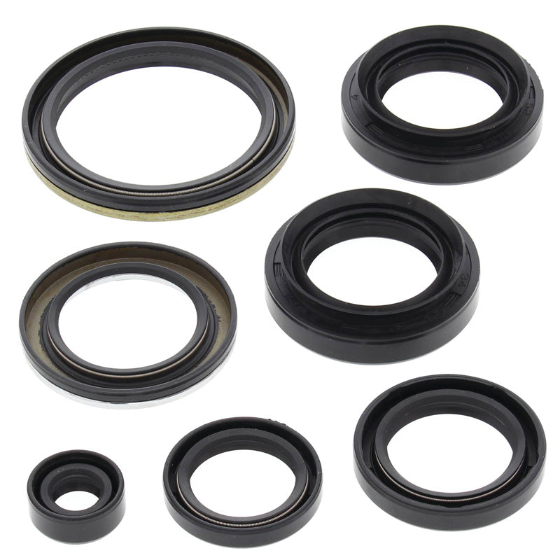 OIL SEAL KIT