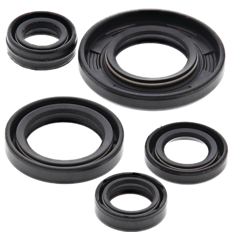 OIL SEAL KIT