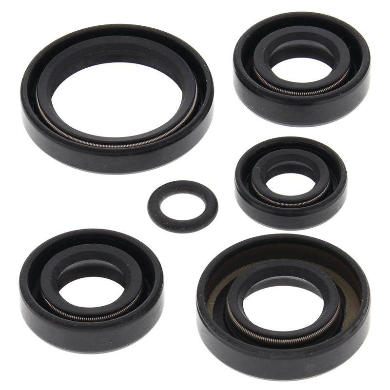 OIL SEAL KIT