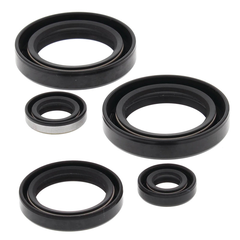 OIL SEAL KIT