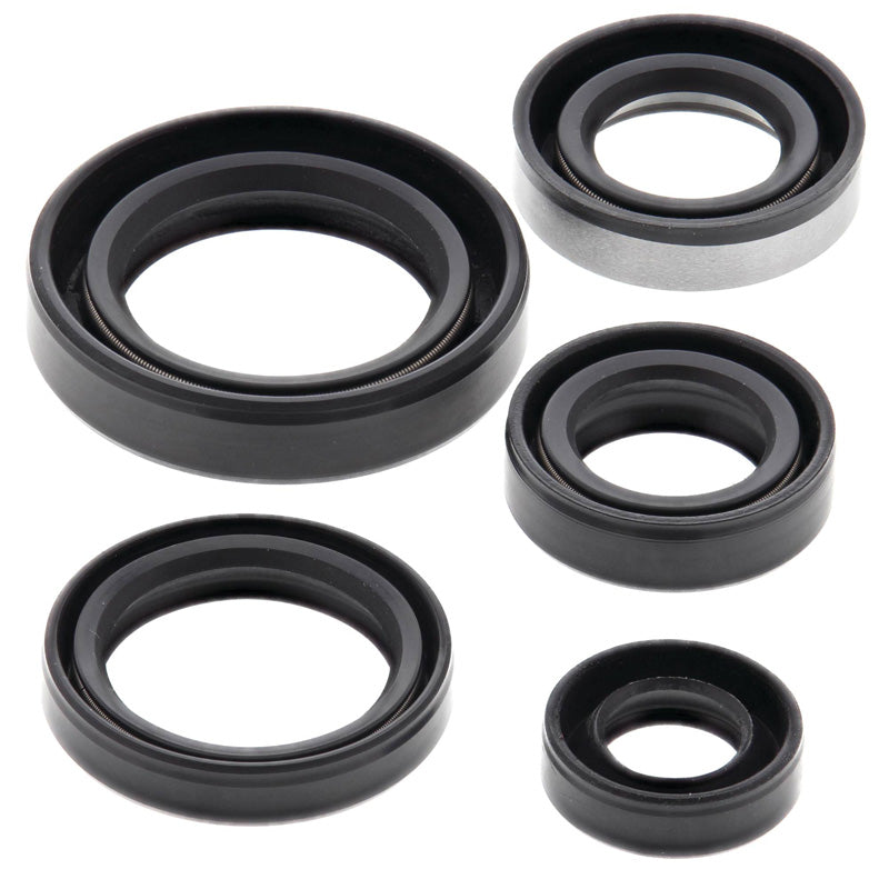 OIL SEAL KIT