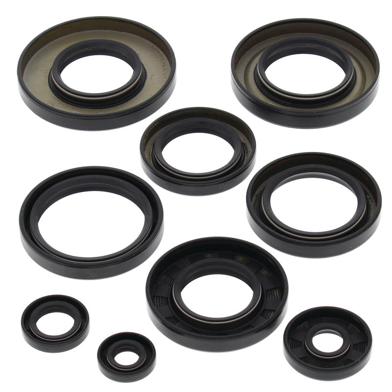 OIL SEAL KIT