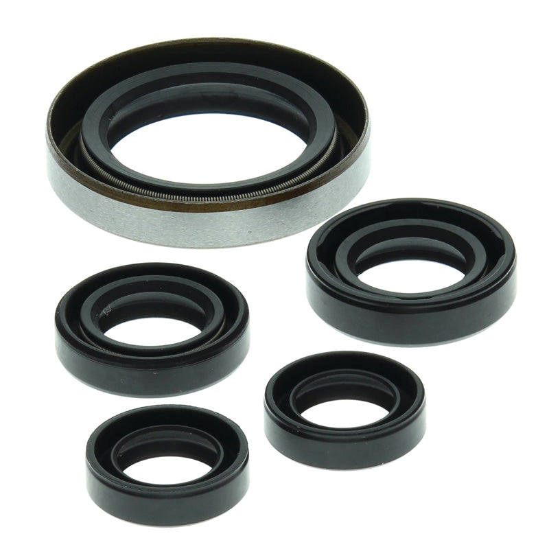OIL SEAL KIT