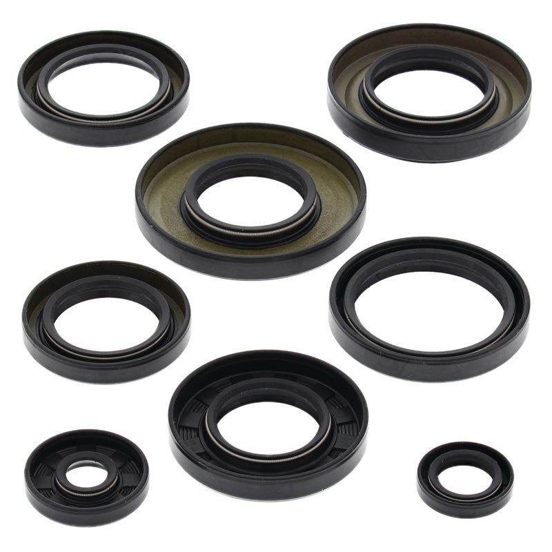 OIL SEAL KIT