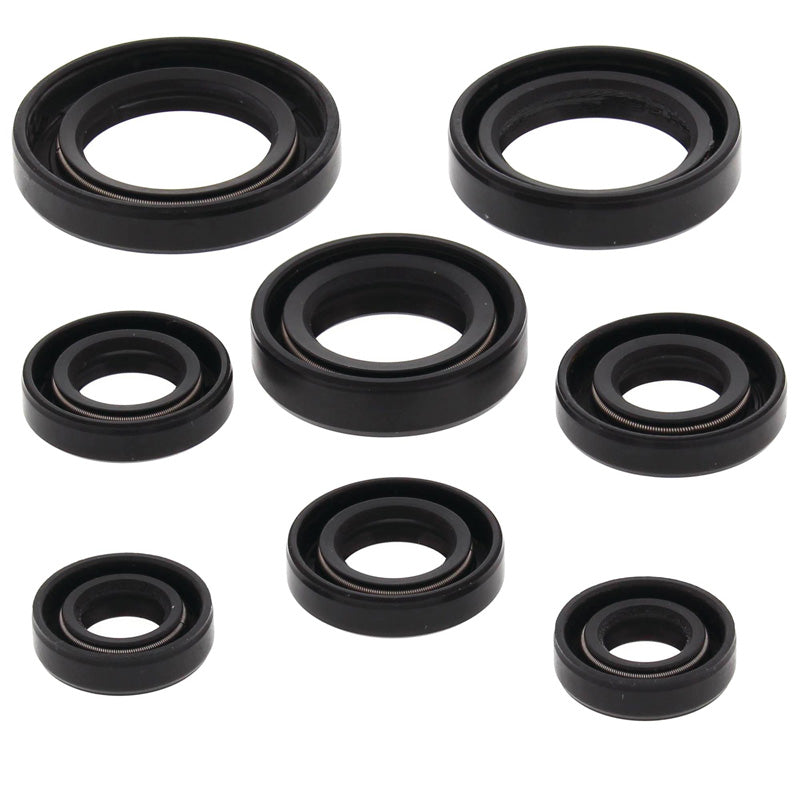 OIL SEAL KIT