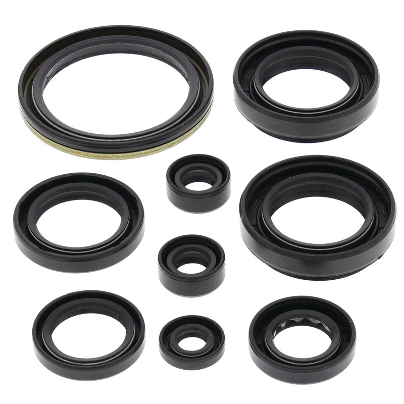 OIL SEAL KIT