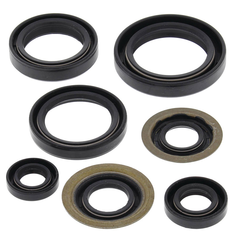 OIL SEAL KIT