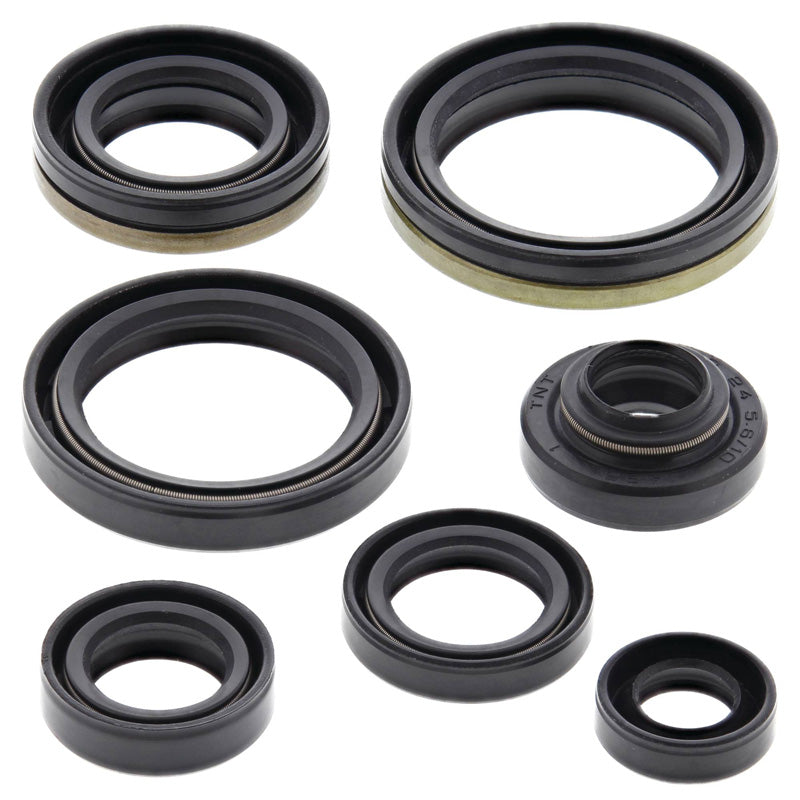 OIL SEAL KIT