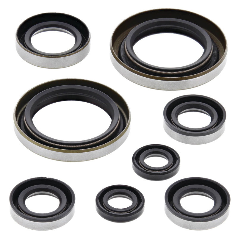 OIL SEAL KIT