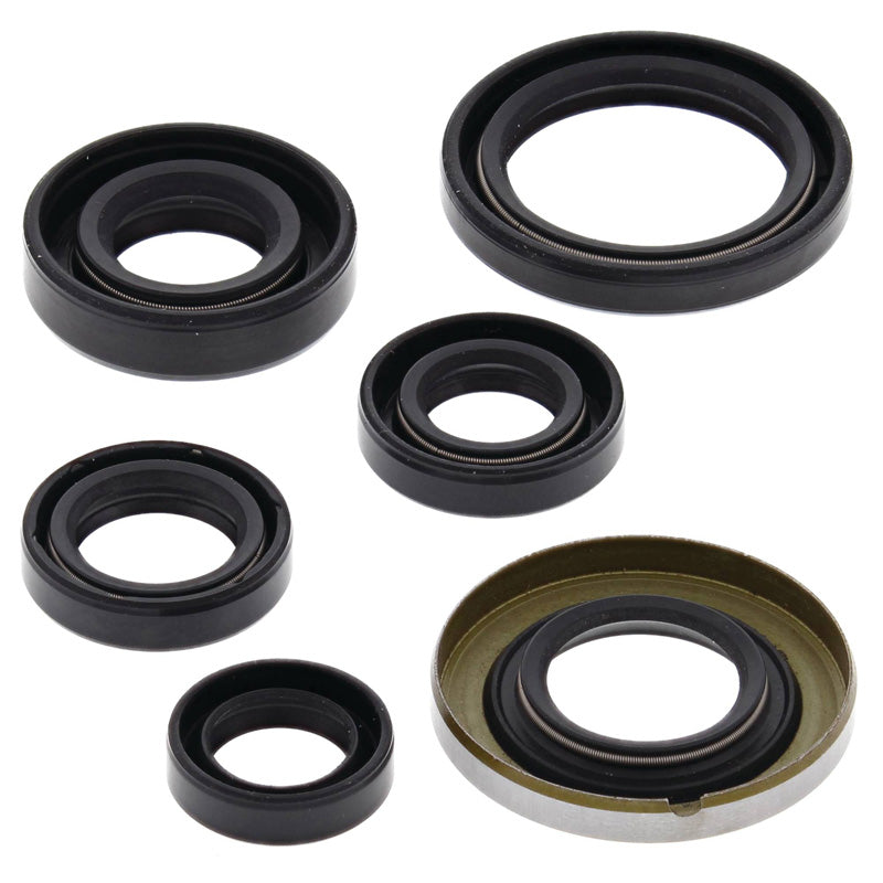 OIL SEAL KIT