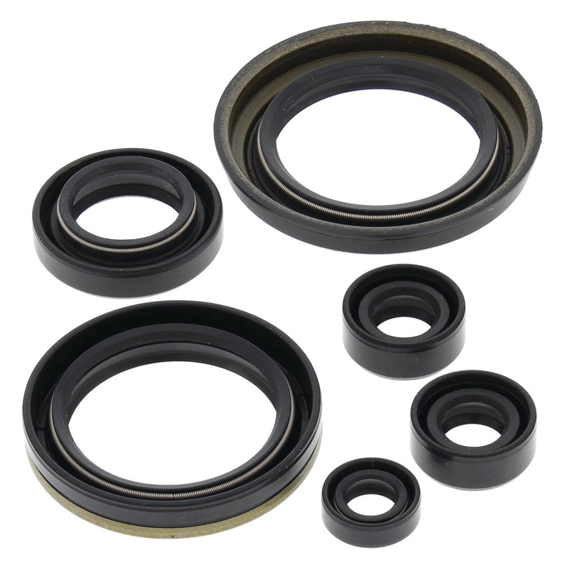 OIL SEAL KIT