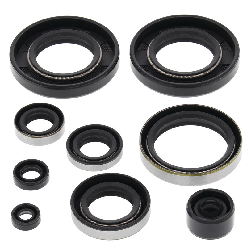 OIL SEAL KIT