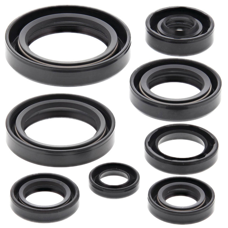 OIL SEAL KIT