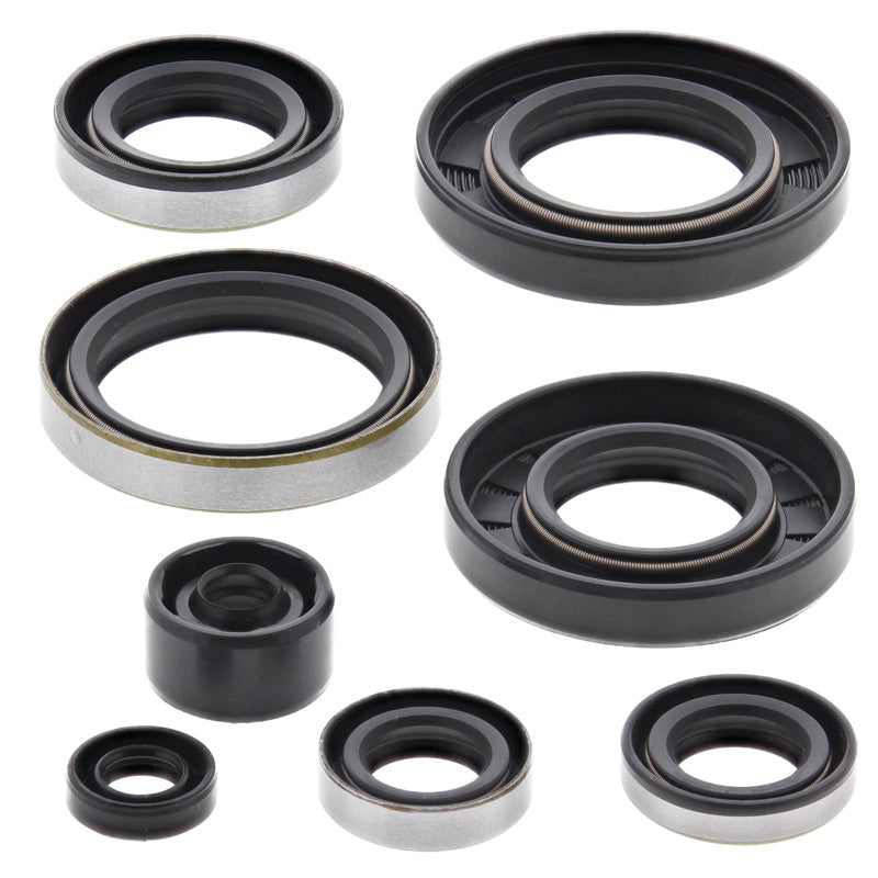 OIL SEAL KIT