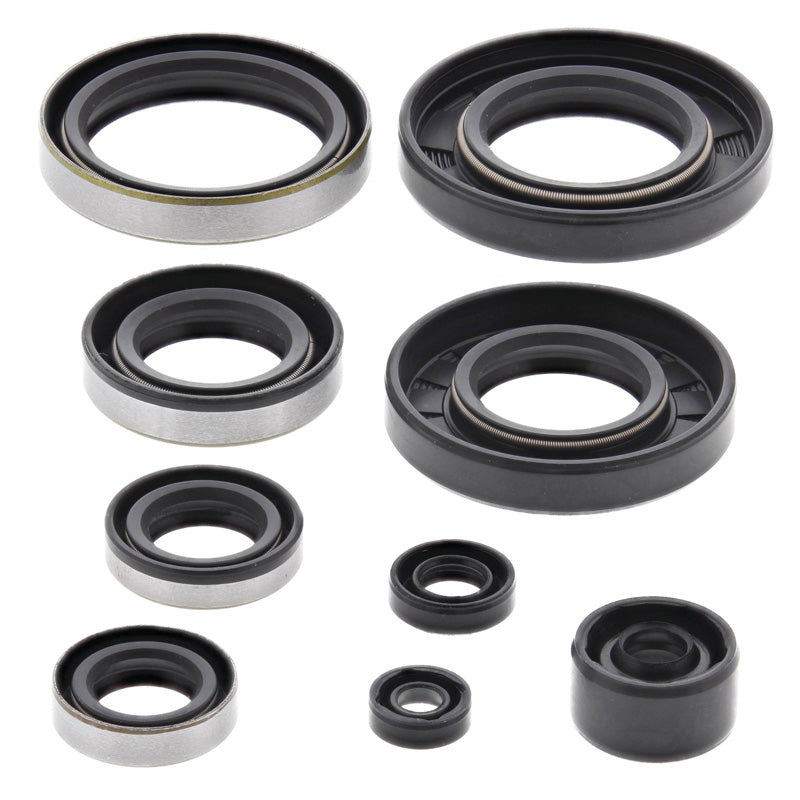 OIL SEAL KIT