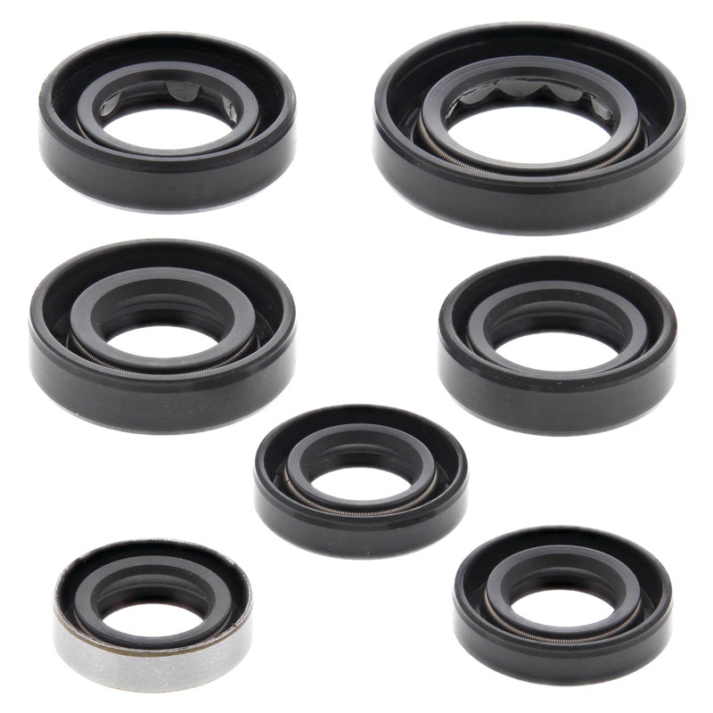 OIL SEAL KIT