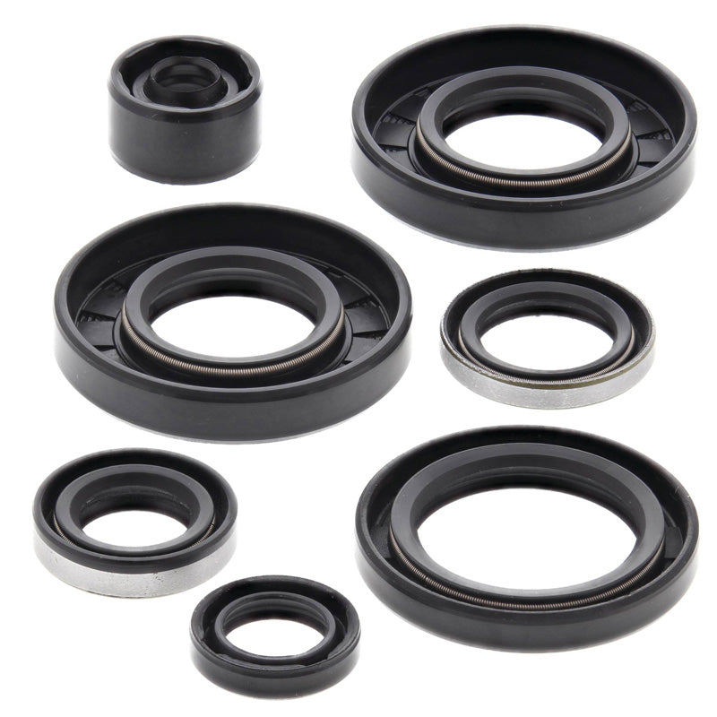 OIL SEAL KIT