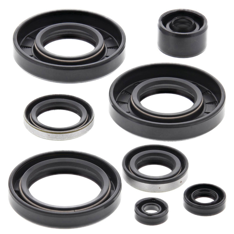 OIL SEAL KIT